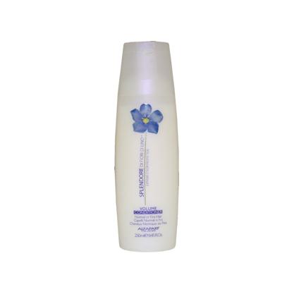 Splendor Volume Conditioner