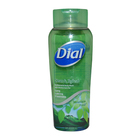 Clean & Refresh Antibacterial Mountain Fresh Body Wash by Dial