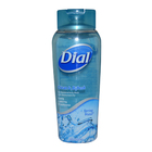 Clean & Refresh Antibacterial Spring Water Body Wash by Dial
