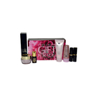 Resilience Advanced Night Repair Soft Clean And More Makeup Set by Estee Lauder