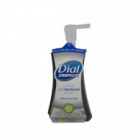 Foaming Anti-Bacterial Hand Wash by Dial