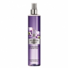 Relaxing Violet by United Colors by United Colors of Benetton